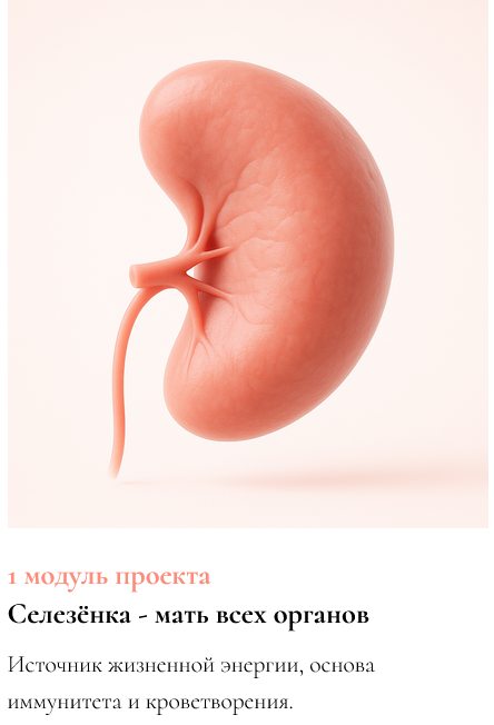 [Ксения Глинкина (Черная)] ЖКТ про Жизнь. 1 модуль_0.png